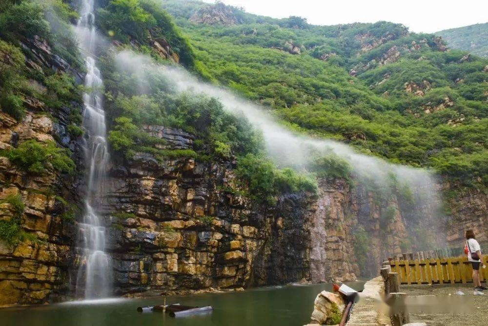 春雨直播app