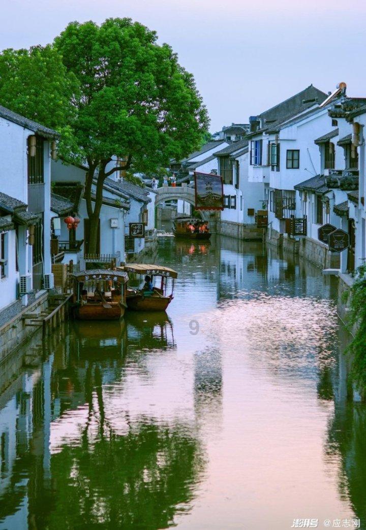 冷知识分享平台「鸡肉抄手怎么做」,揭秘你不知道的小秘密